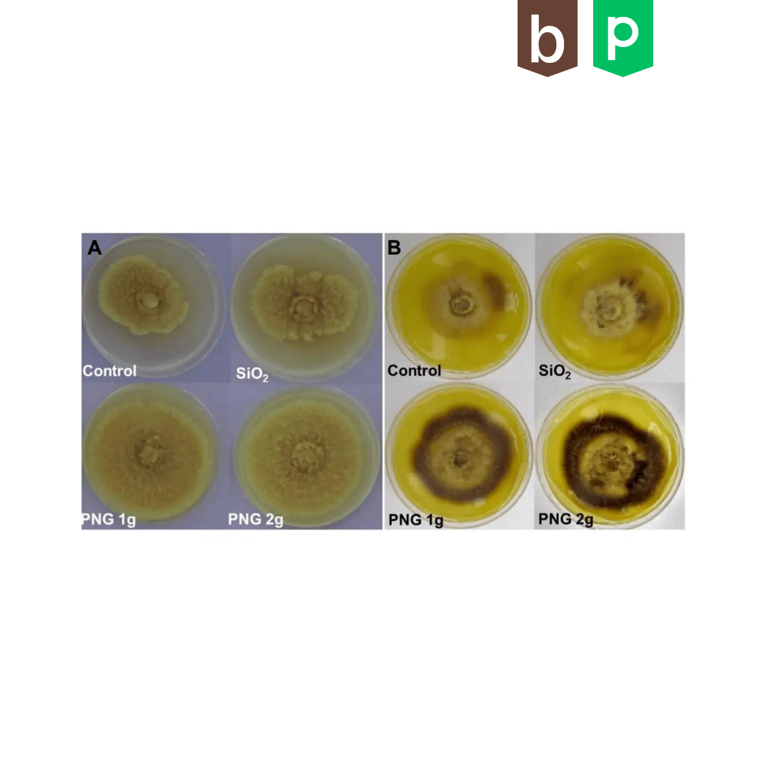 Wissenschaftliche Veröffentlichung: In-vitro-Aktivierung von mikrobiellem Wachstum in niederfrequenten elektromagnetischen Feldern