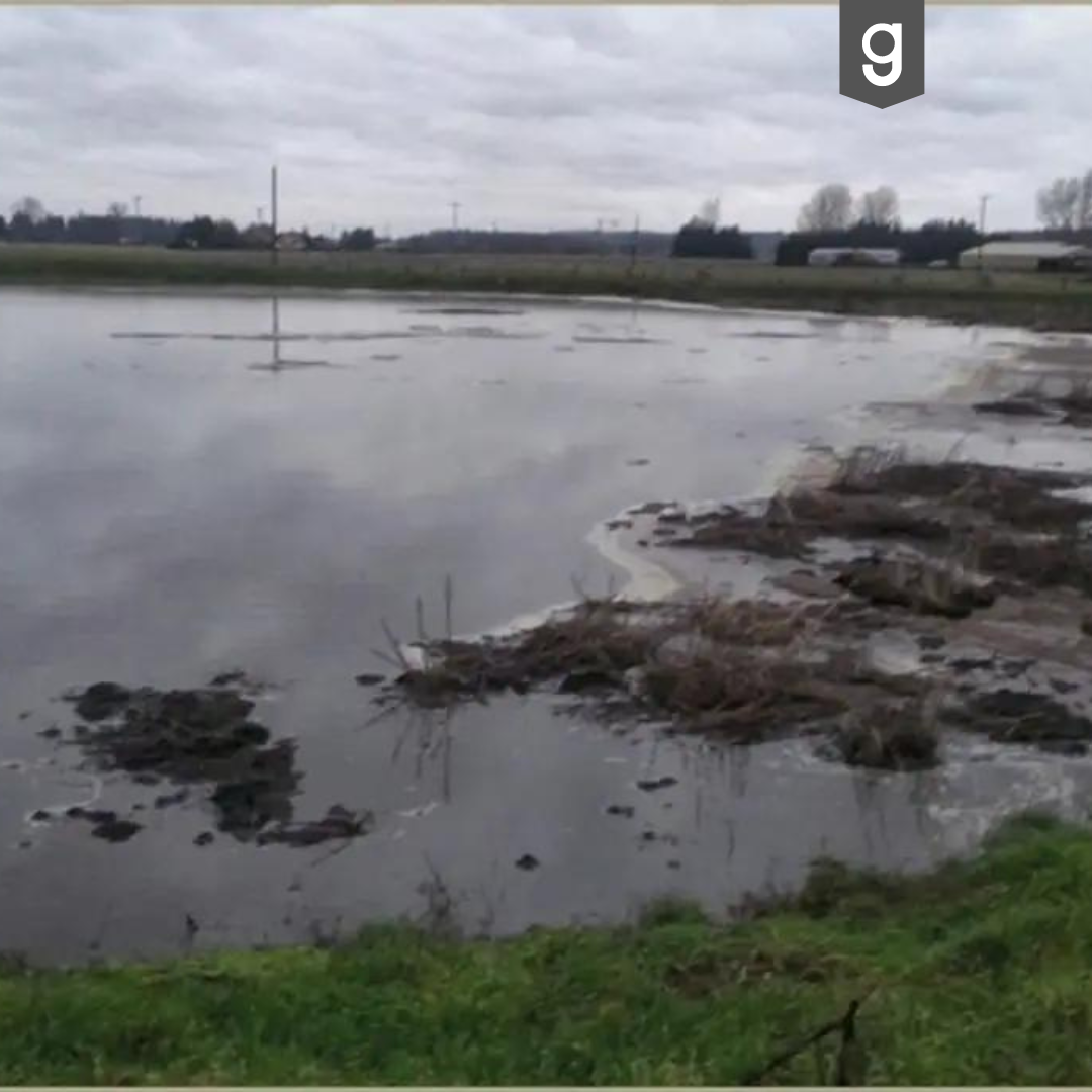 Sichtbar reduzierte Schwimmschicht in Gülle