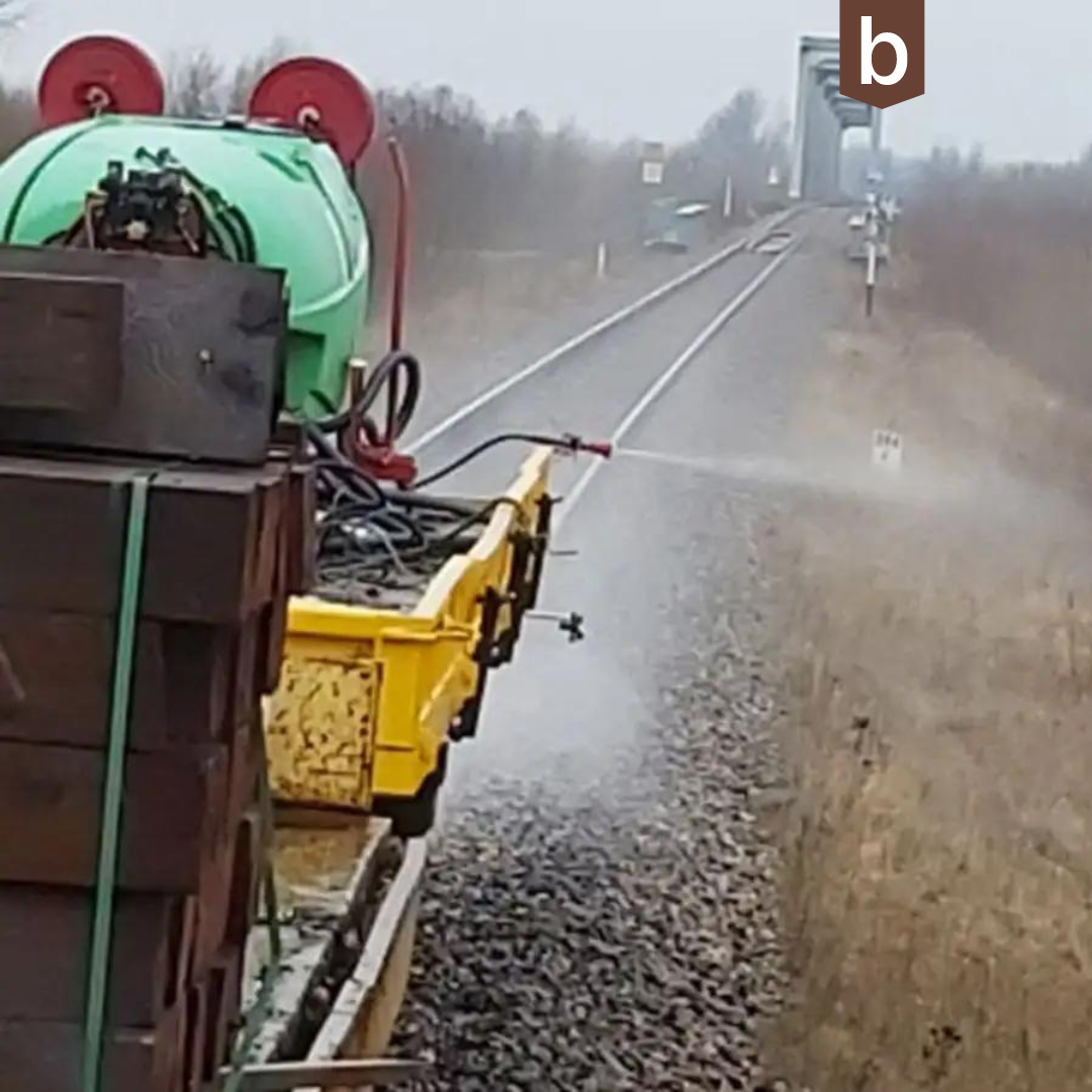 Beobachtung von Wildschweinpopulation nach der Anwendung von penergetic b WV