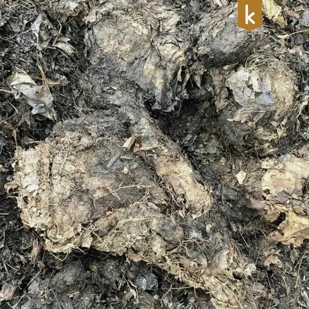 Blitz-Kompostierung in Canada