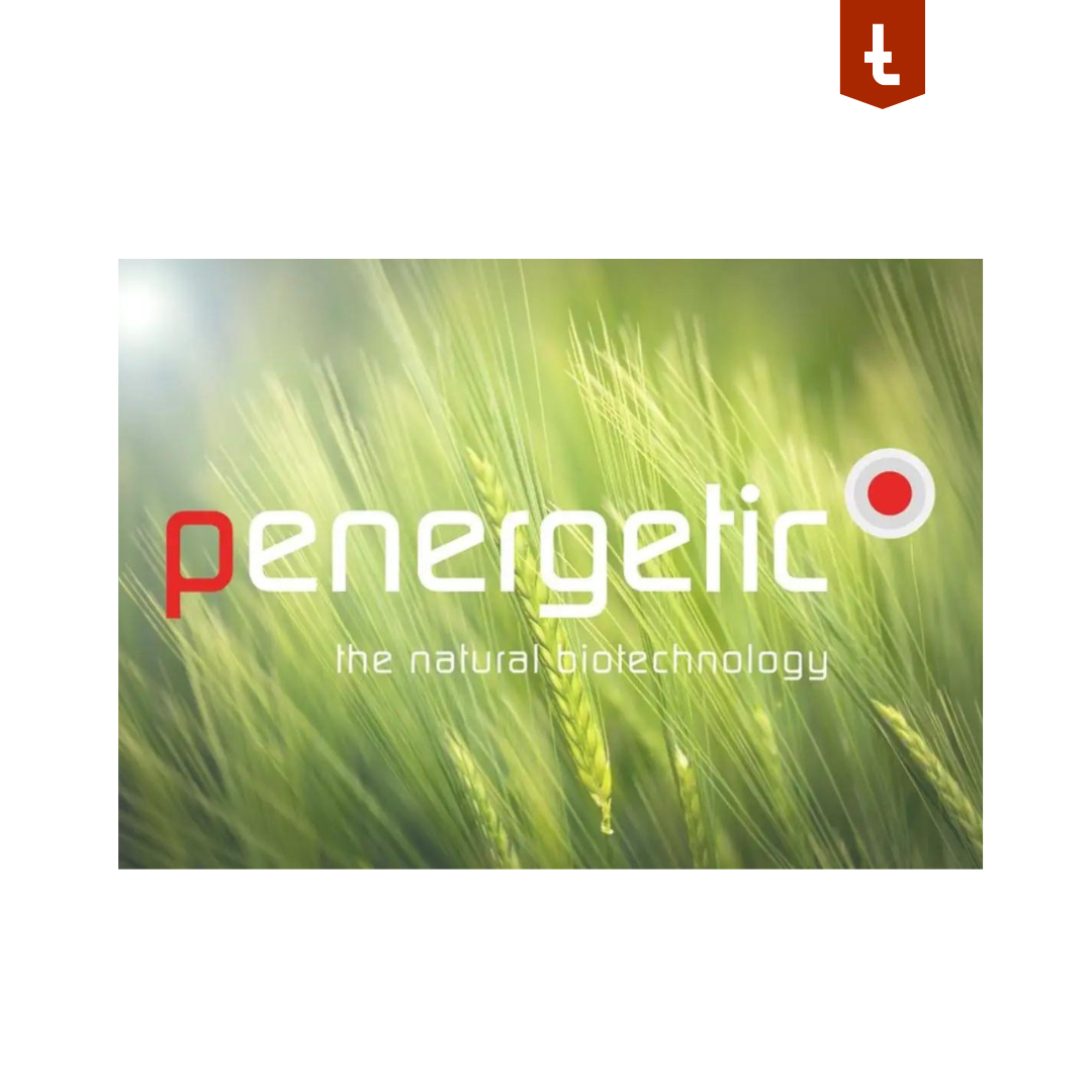 Probleme mit Milben im Hühnerstall?