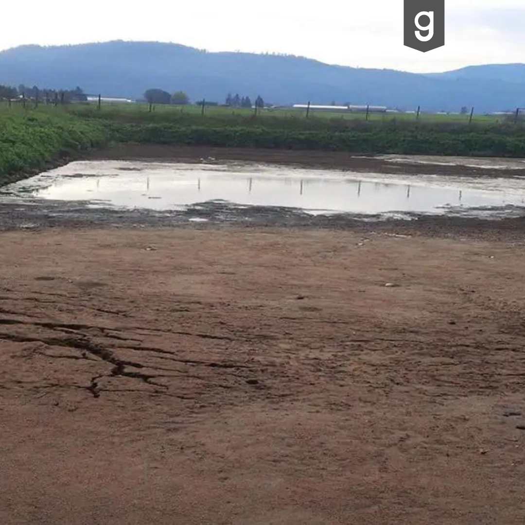 Fantastische Resultate in einer Gülle-Lagune